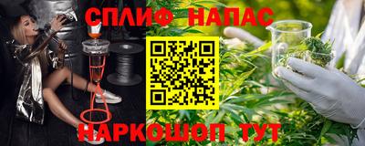 стаф Краснодар