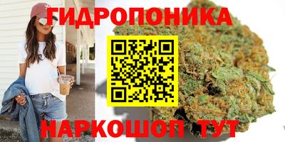 стаф Краснодар