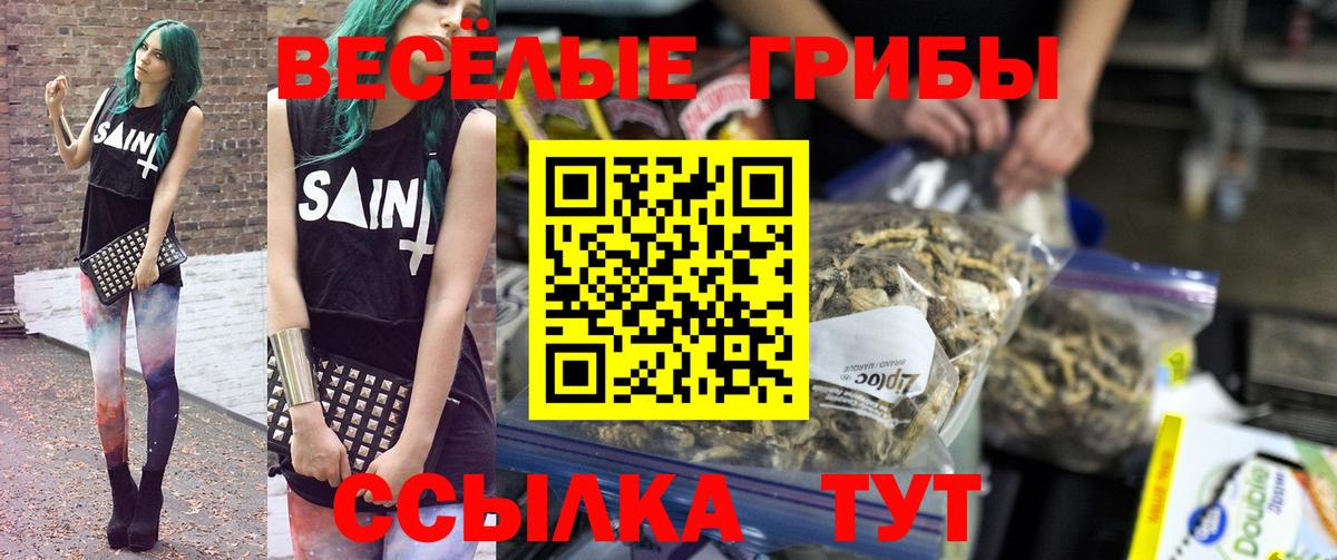 Галлюциногенные грибы мухоморы Красноармейск