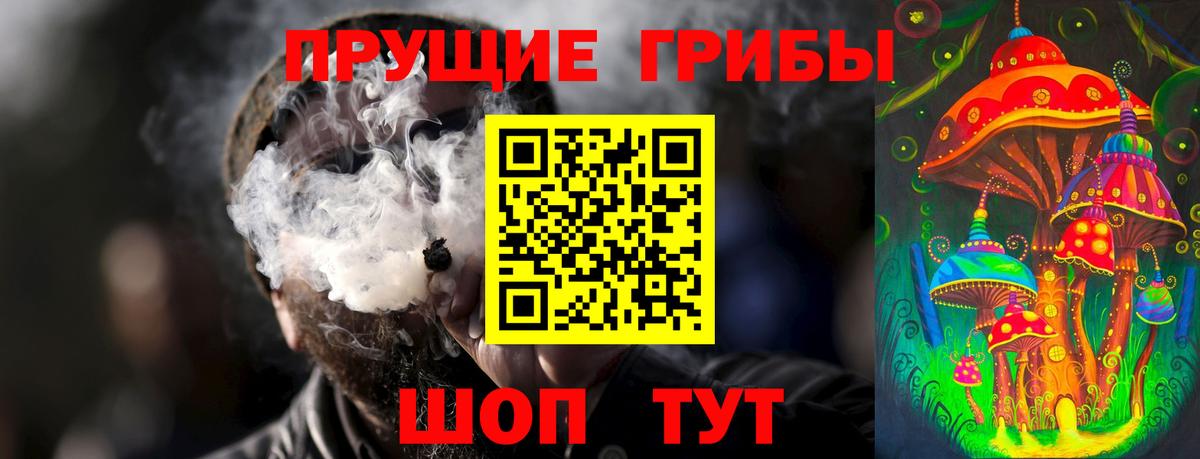 Псилоцибиновые грибы Cubensis  Вход с VPN  Псилоцибиновые грибы MAGIC MUSHROOMS  Красноармейск 